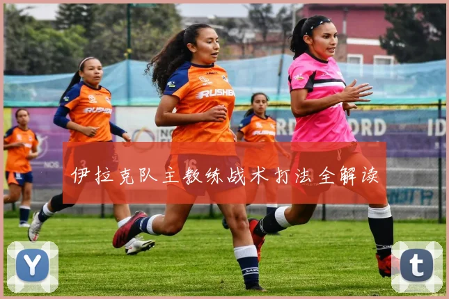 伊拉克队主教练战术打法全解读