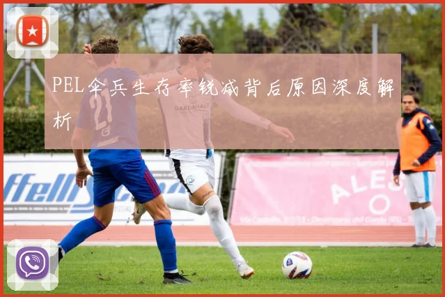 PEL伞兵生存率锐减背后原因深度解析